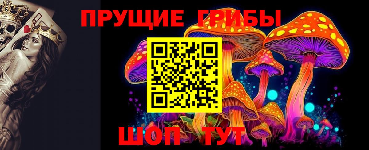 Галлюциногенные грибы GOLDEN TEACHER Ижевск