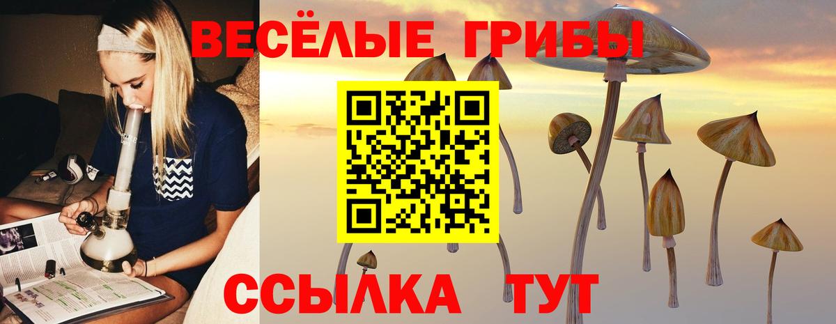 Ижевск  Галлюциногенные грибы GOLDEN TEACHER  Псилоцибиновые грибы MAGIC MUSHROOMS  Вход с VPN 