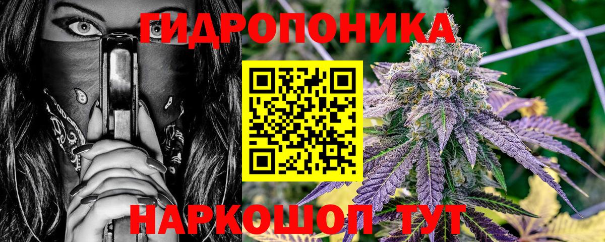 Канабис ГИДРОПОН  Бошки марихуана планчик  Ижевск  Вход с VPN  МАРИХУАНА AK-47 